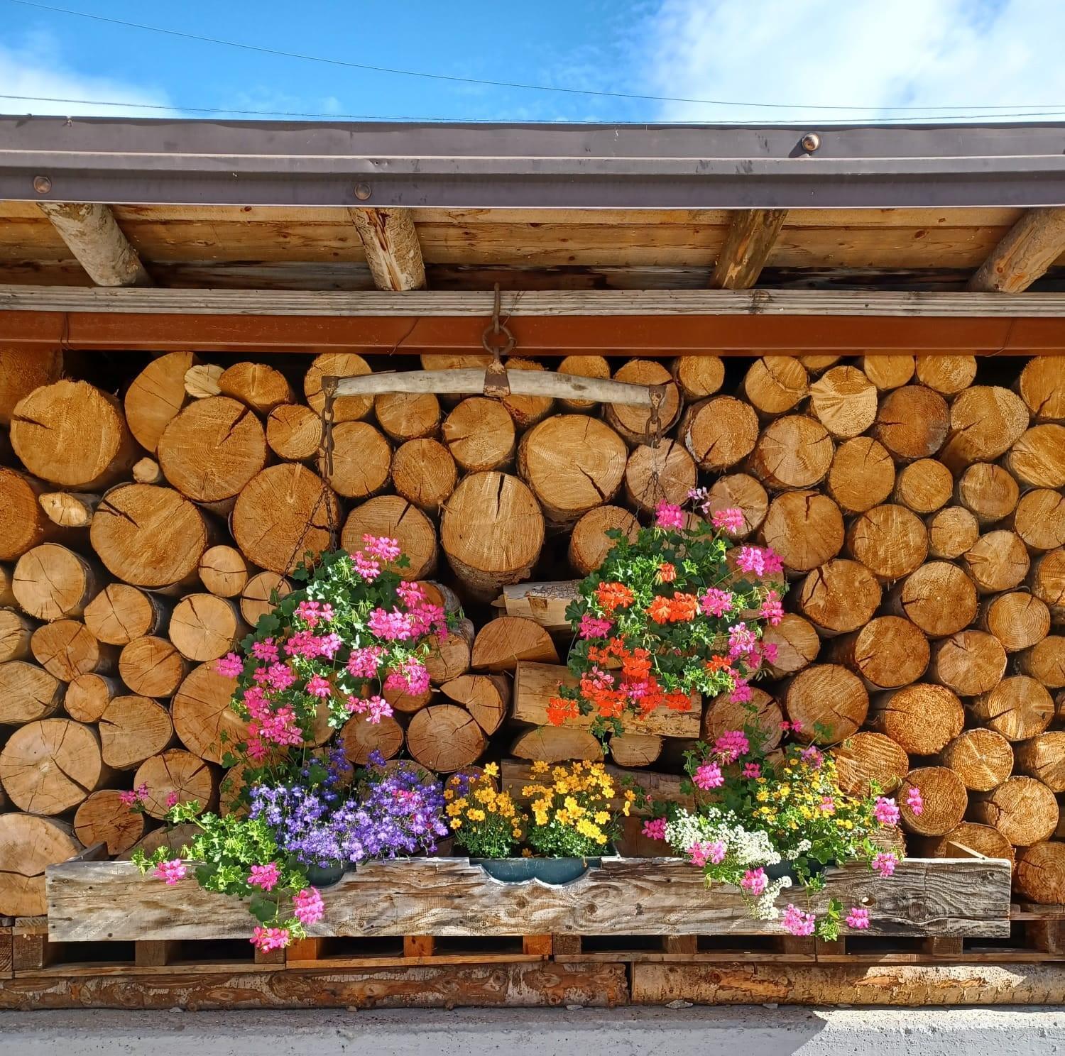 Locanda Da Pierina Santo Stefano Di Cadore Exterior photo